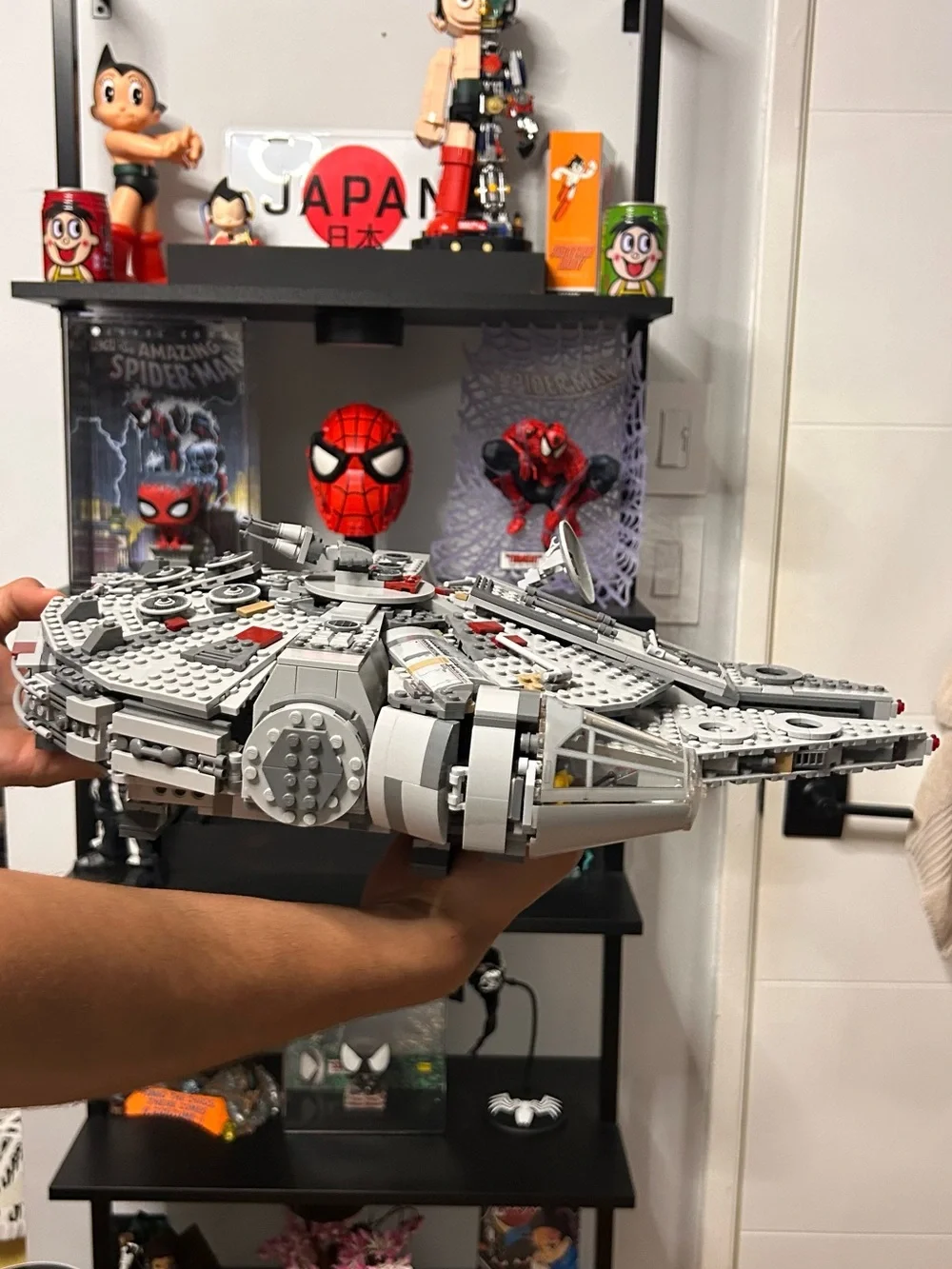 Gray millennial falcon - Picture 3 of 7